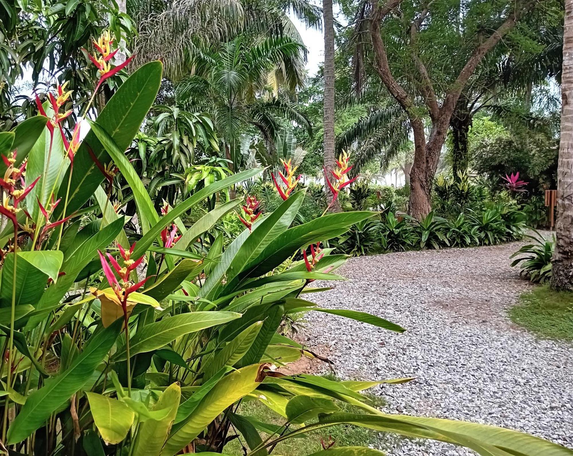 Ampeni Ko-Sa Beach Resort Ltd מראה חיצוני תמונה